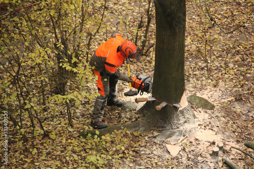 worker in an orange jacket and work pants saws a thick tree trunk with a saw, an environmental concept, industrial garden work
