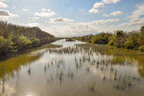 Parc natural de s’Albufera de Mallorca swamp landscape
