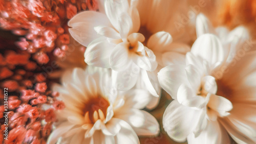 White and pink blooming flowers close up in bouquet as spring romantic background blurred gentle backdrop