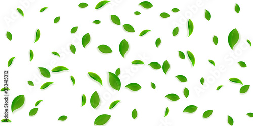 Falling green leaves. Fresh tea chaotic leaves fly