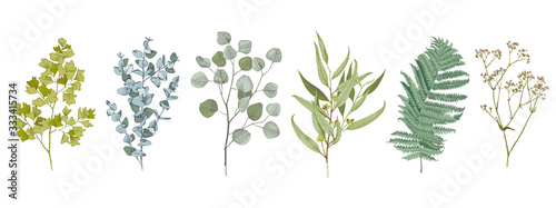 Set of hand drawn colorful flowers, leaves and branches.