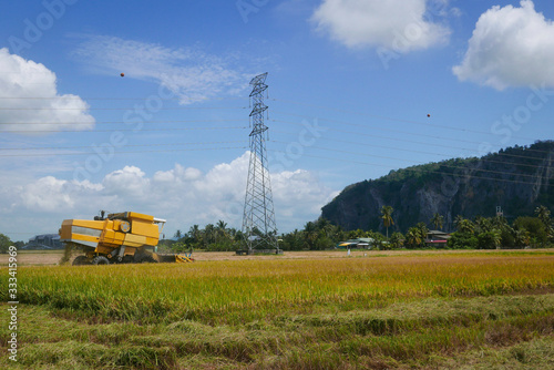 Harvester tractor working at paddy field. photo