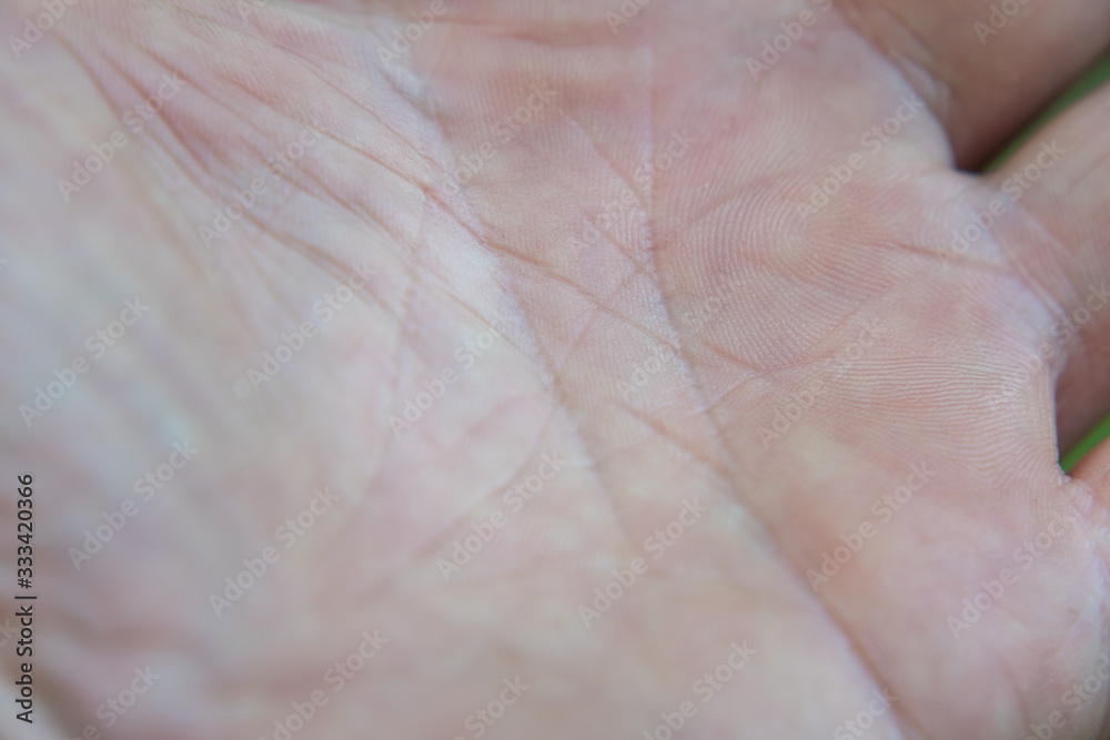 Fototapeta Lines on the open palm of a person. Guessing on the arm.