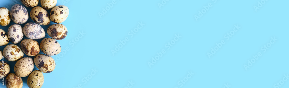 pile of quail eggs on a blue background. space for text. banner