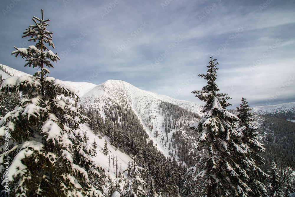 Beautiful winter landscapeby the Meadow Mountain in Giant Mountains, Czech Republic