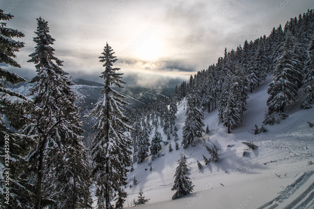 Wonderful winter landscape in Giant Mountains, Czech Republic