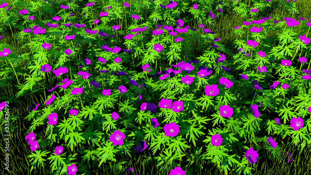 Fototapeta premium Colorful Flowers and Plants Outdoor Background, 3D Rendering