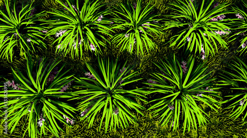 Green Plants Outdoor Nature 3D Rendering