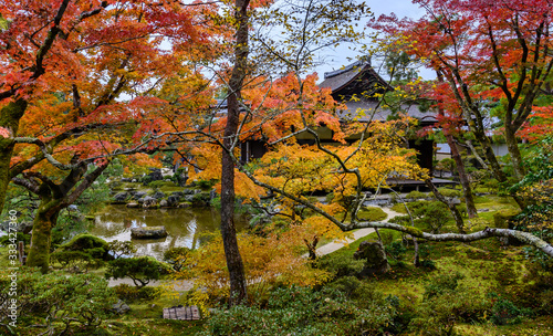 Foliage landscape in Kyoto, Japan.