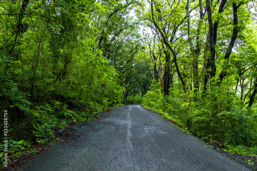 Countryside road in the middle of tropical forest Countryside road in the middle of tropical forest