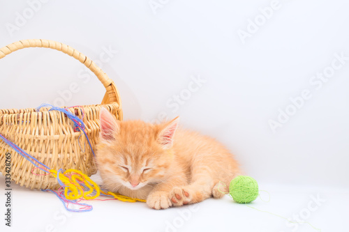 Funny red kitten is sleeping. © Sergei