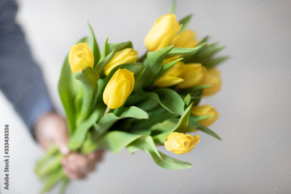 Żółte tulipany - obrazy, fototapety, plakaty 