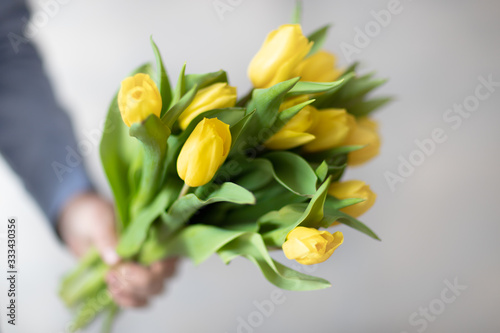 Żółte tulipany © andsko