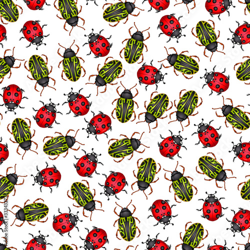 Vector illustration with insect beetles. Seamless pattern isolated on white background. Texture for print, banner, textile, wrapping paper. Ladybird, calligrapha serpentina photo
