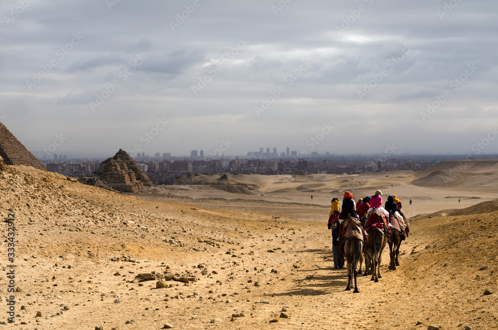 Tourism by riding a camel in Giza in Egypt.