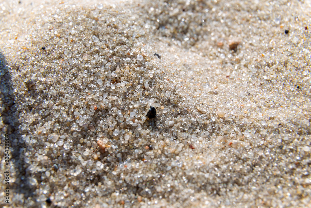 sand closeup on the beach on a sunny day sand closeup on the beach on a sunny day