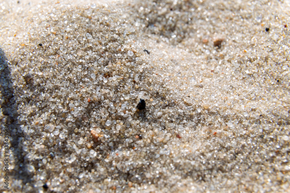 sand closeup on the beach on a sunny day