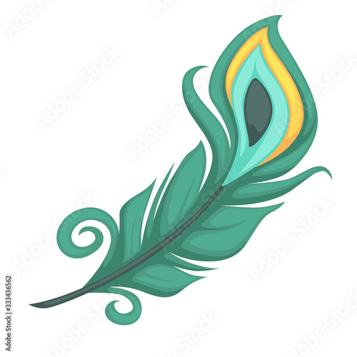 Peacock feather or plumage of rare bird vector