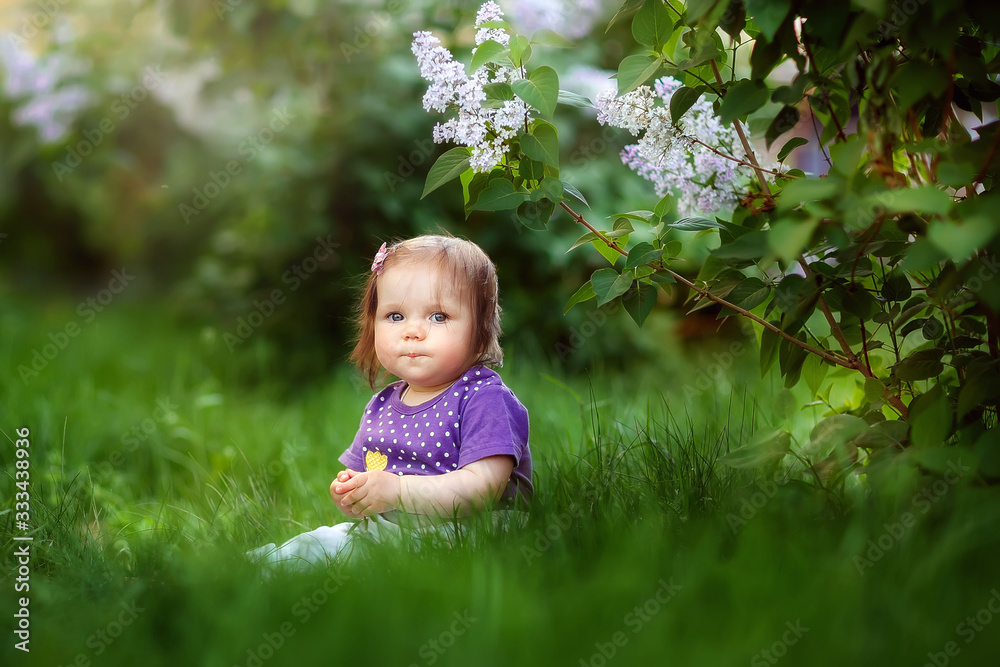 little girl crawling sitting in the grass at the lilac Bush, spring has come, cute baby, may, flowering