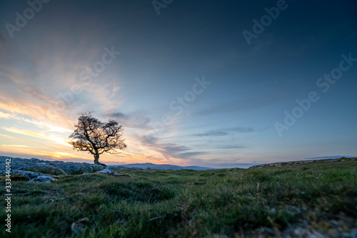 Obraz na plátně A tree sits on Winskill Stones above settle , North Yorkshire