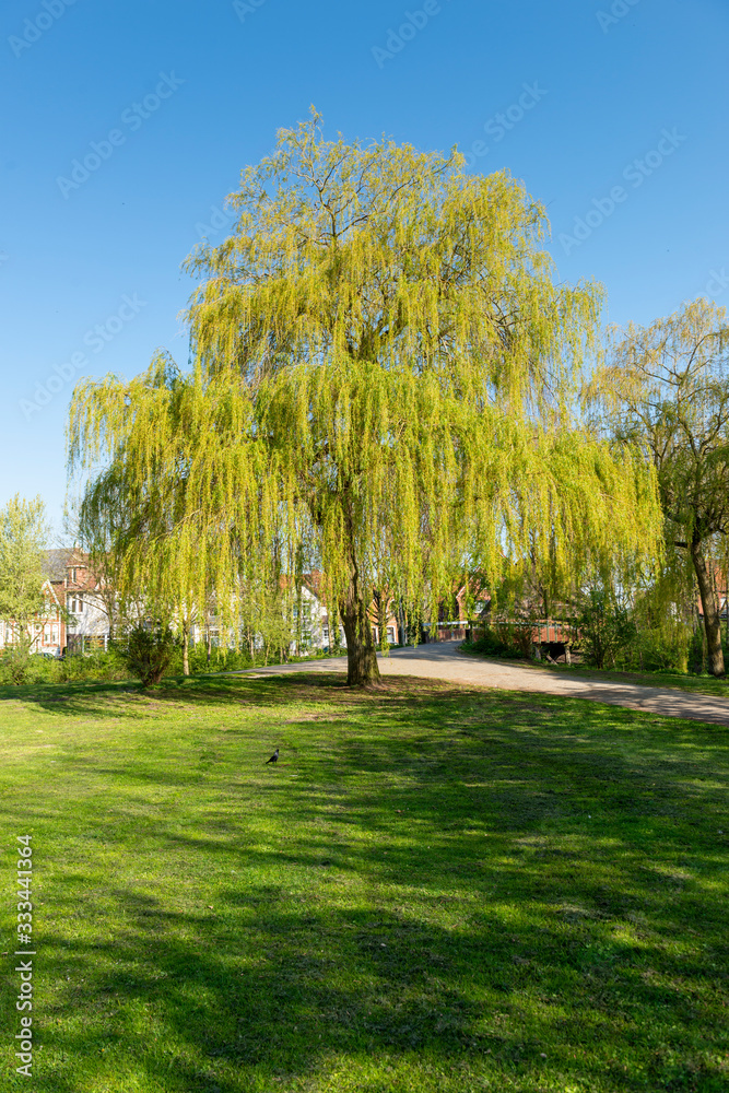 Obraz premium Deutschland, Niedersachsen, Ostfriesland, Emden, Parkanlage Emder Wall und Stadtgraben.