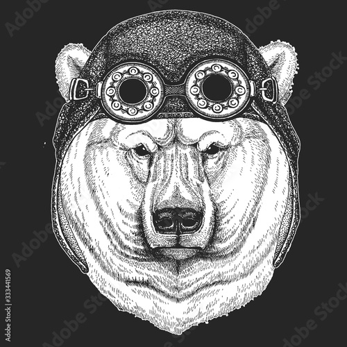 Polar bear portrait. Aviator leather helmet. Head of wild animal