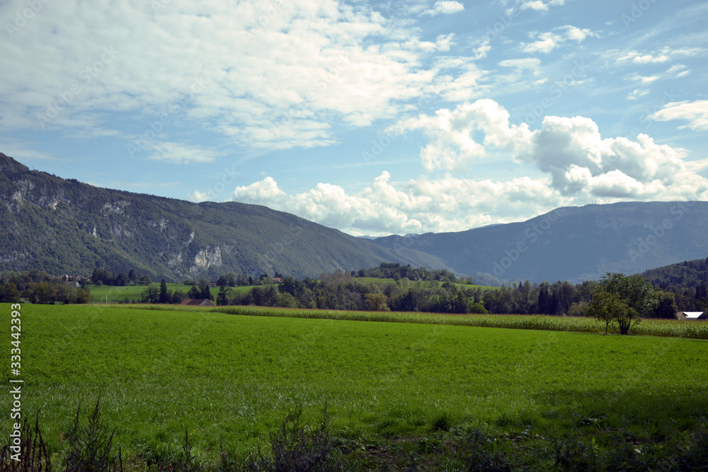 Several fields, with one with corn. There is also forets, and big mountains on background. It is the french Alps.