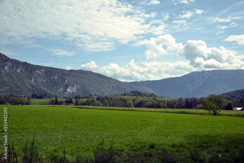 Several fields  with one with corn. There is also forets  and big mountains on background. It is the french Alps.
