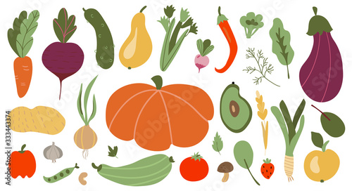 big set of colorful hand drawn fresh delicious vegetables isolated on white background.