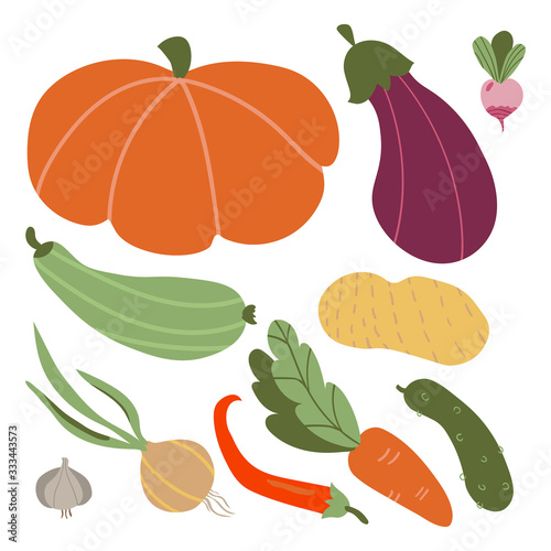 vegetable set. Farmers market concept illustration with fresh vegetables isolated on the white background.