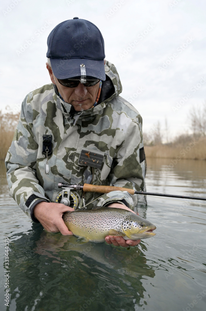 Naklejka premium catch of a beautiful brown trout with fly