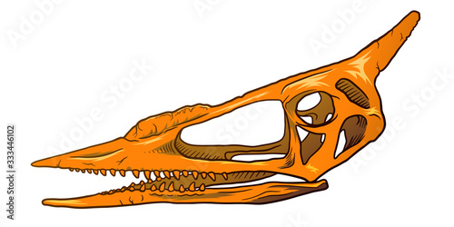 Hand Drawn Cartoon Illustration of Dinosaur Skull isolated on white background, paleontology symbol. Archeology Sticker