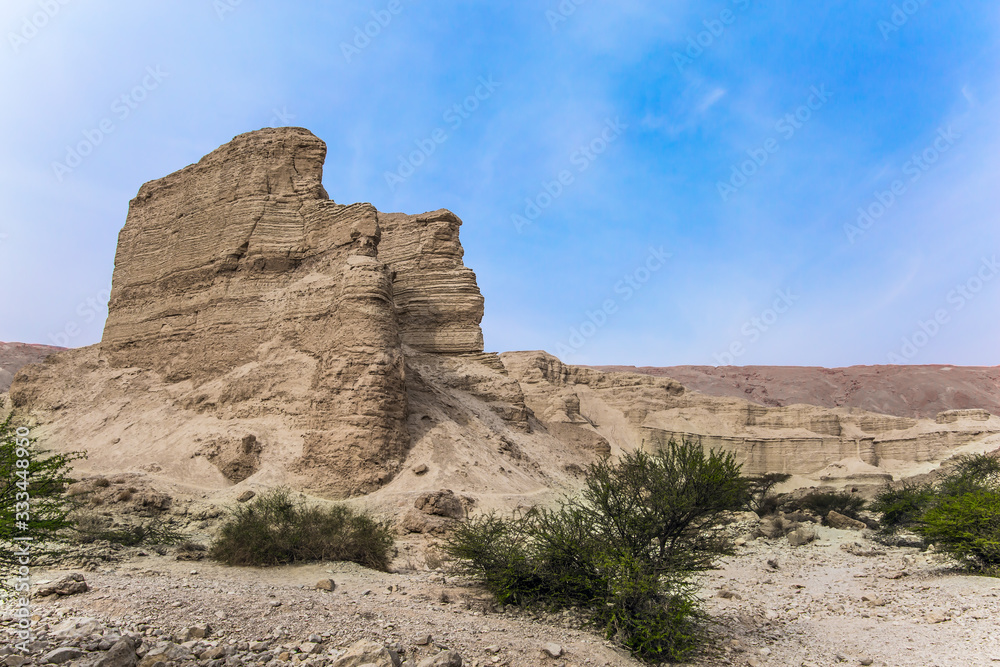 Coast of the famous Dead Sea