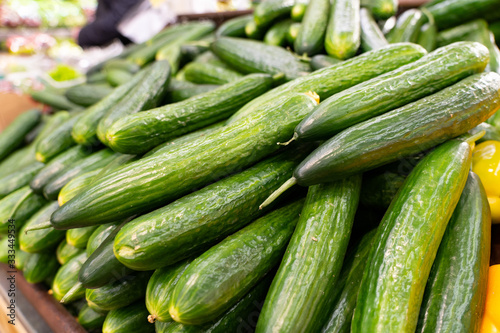 Sale of fresh cucumbers. Fresh green cucumber selling at the market. A lot of cucumbers