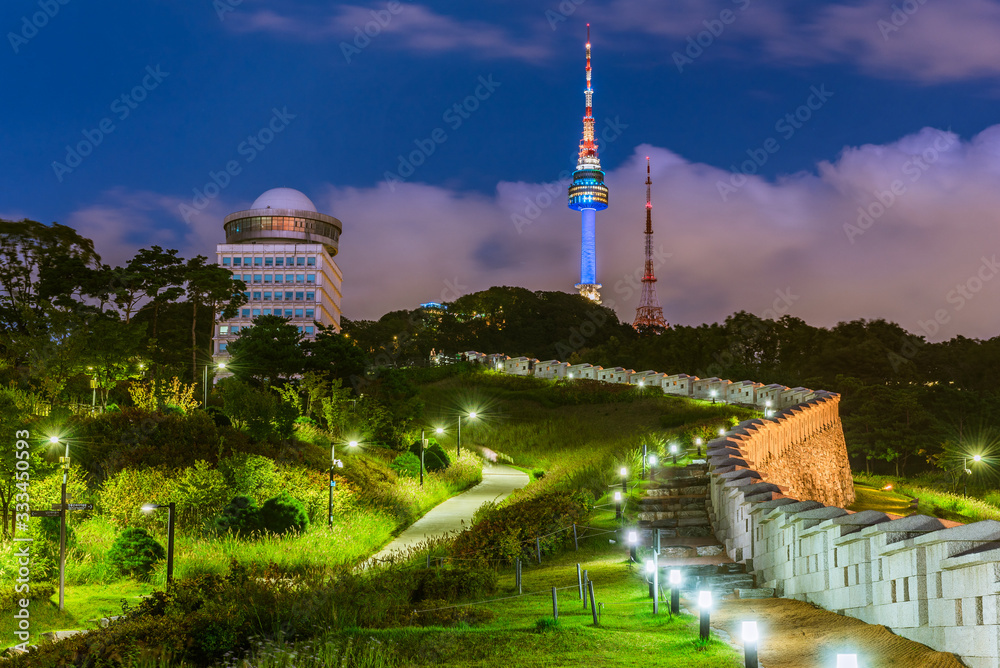 Obraz premium Namsan Park and N Seoul Tower at Night, South Korea