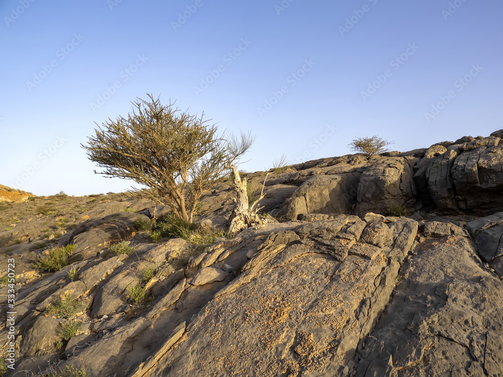 Rocky canyon of a small river in northern Oman Rocky canyon of a small river in northern Oman