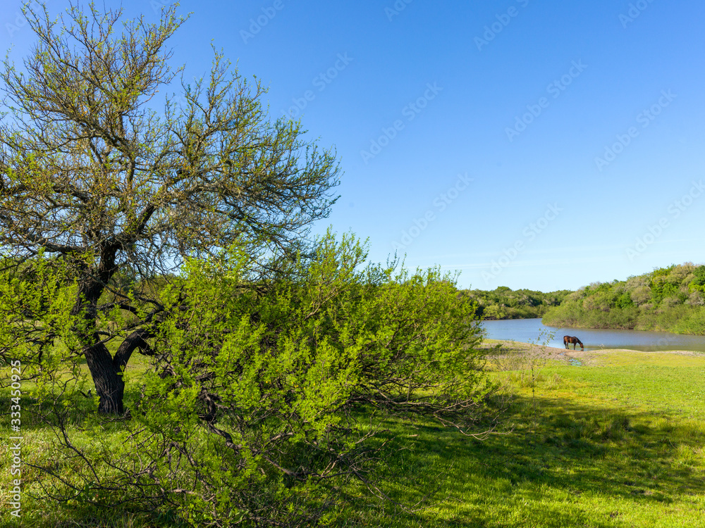 Field with the coast of the water