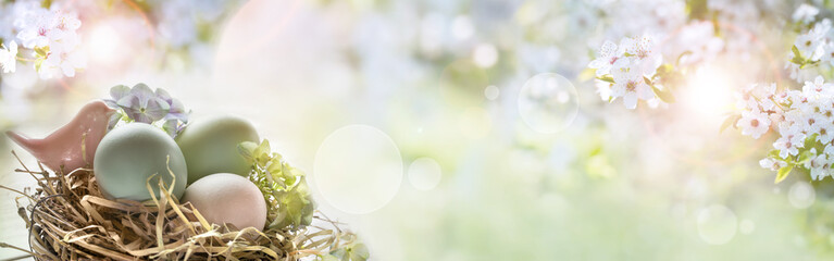 Easter eggs on sunny spring background