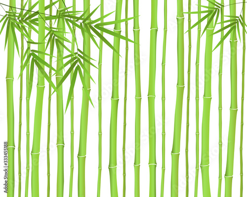Fototapeta Naklejka Na Ścianę i Meble -  Chinese or japanese bamboo grass oriental wallpaper vector illustration. Tropical asian plant background