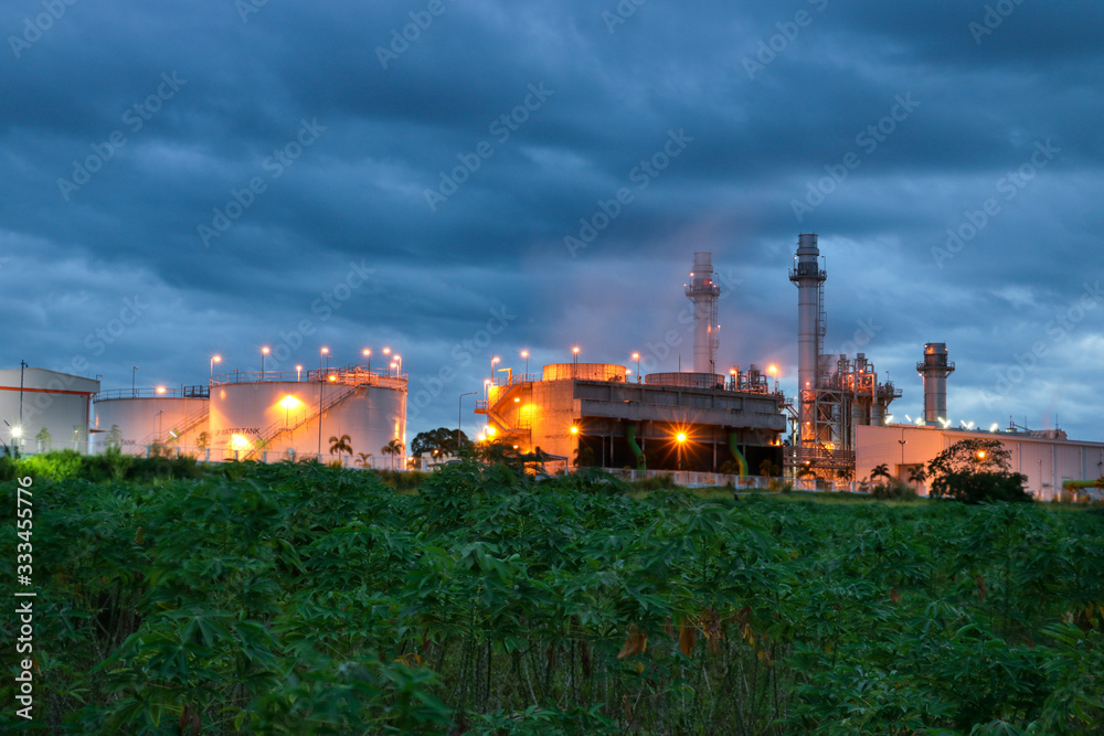 Combined cycle power plant And light orange color in cassava mites