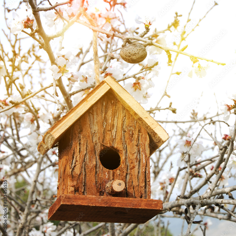 Naklejka premium Little Birdhouse in Spring with blossom almond flower