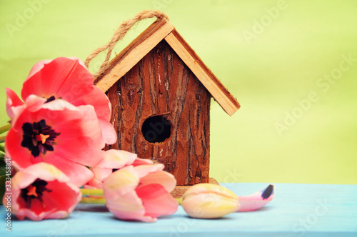 Bright wooden nestbox and tulips