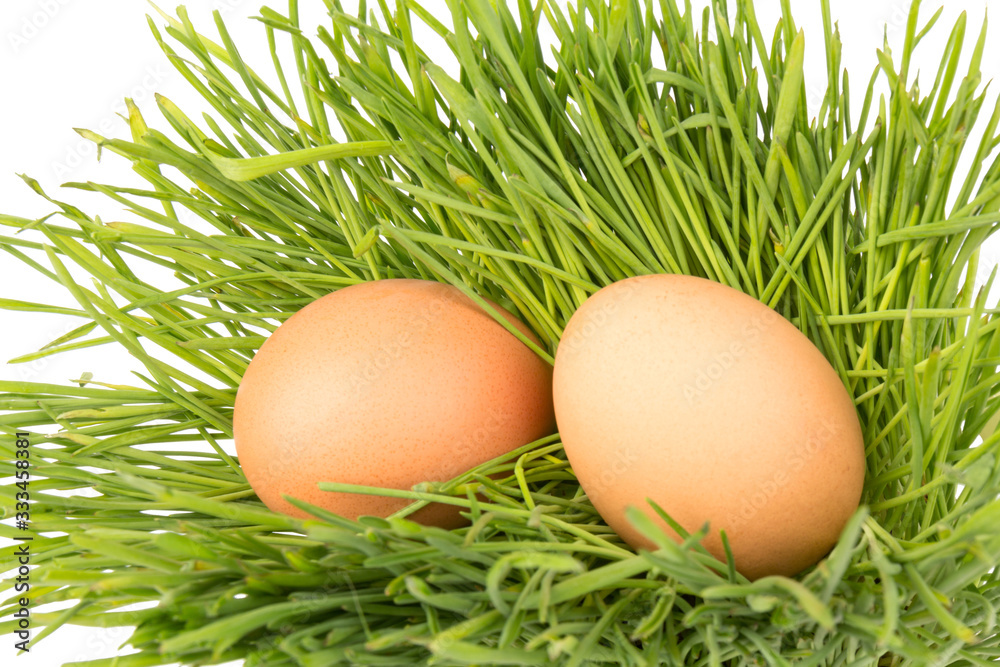 Brown eggs on green grass, isolated on white background. Brown eggs on green grass, isolated on white background.