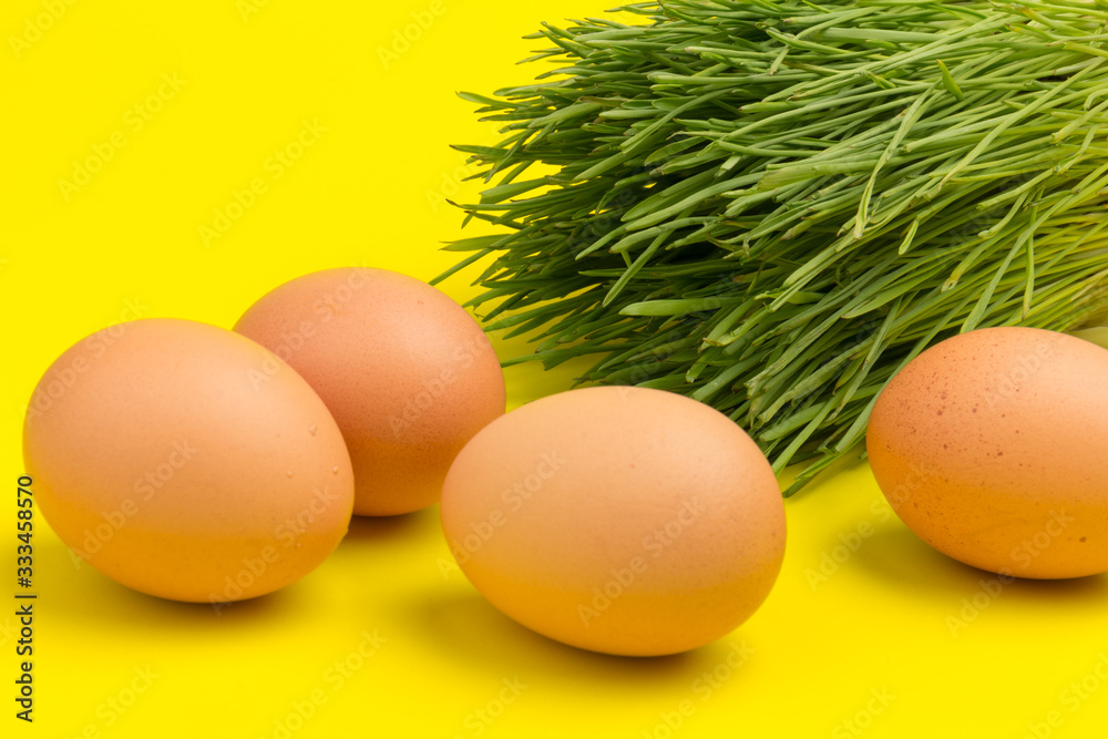 Brown eggs on green grass, isolated on yellow background Brown eggs on green grass, isolated on yellow background