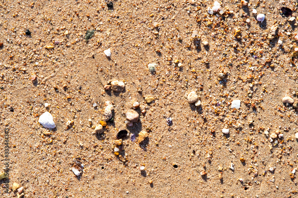 Flat lay surface of sandy beach with yellow sand and small stones background. Flat lay surface of sandy beach with yellow sand and small stones background.