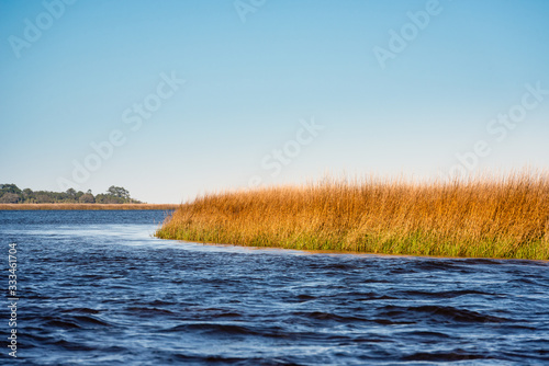 Intercoastal Waterway and Salt Marshes
