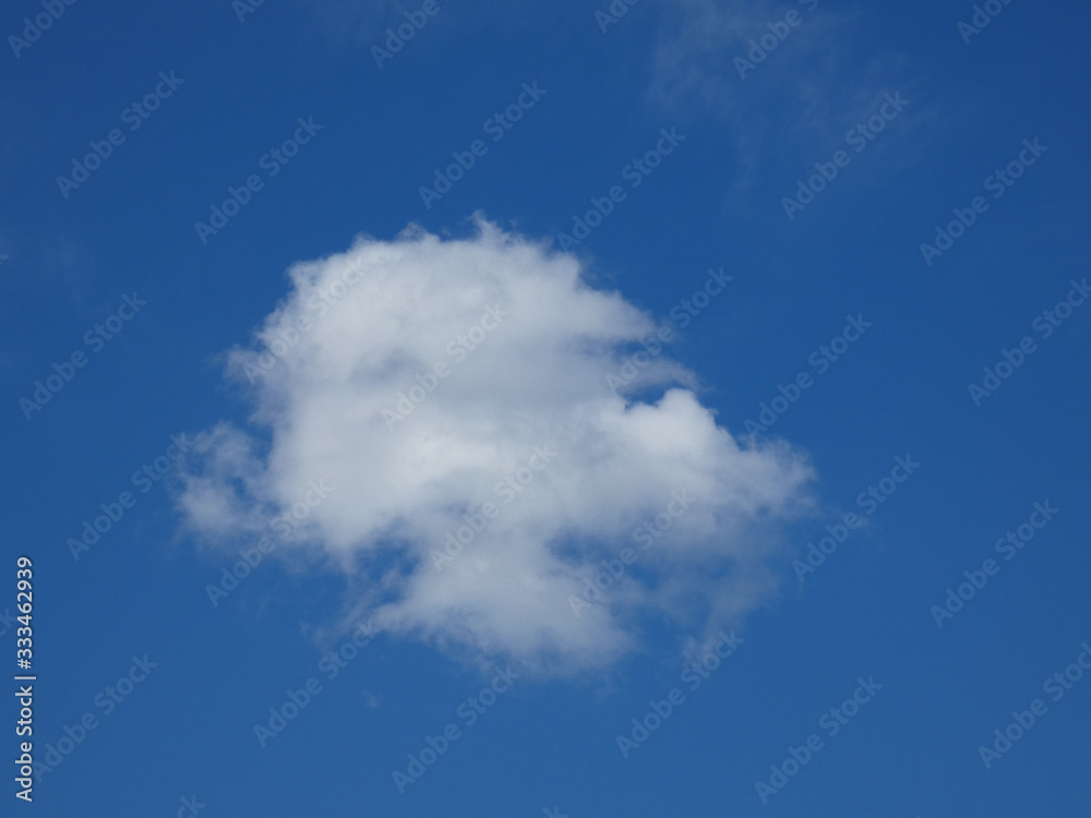 Cielo Cielo