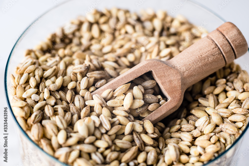 pearl barley porridge in a wooden spoon closeup, macro. Healthy Food, Gluten Free Products pearl barley porridge in a wooden spoon closeup, macro. Healthy Food, Gluten Free Products