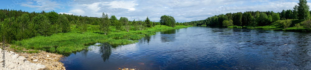 Fototapeta premium river and Bank with grass and trees