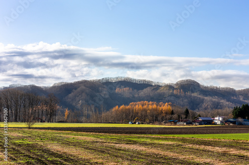 日本の北海道東部・上士幌町付近、秋の風景